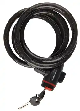 Dirk Dunlop Spiraalslot 12 mm x 180 cm aanbieding