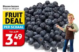 Hoogvliet Blauwe bessen aanbieding
