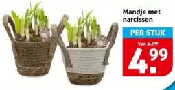 Hoogvliet Mandje met narcissen aanbieding
