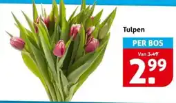 Hoogvliet Tulpen aanbieding