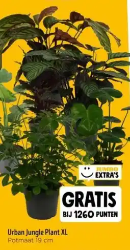 Jumbo Urban Jungle Plant XL aanbieding