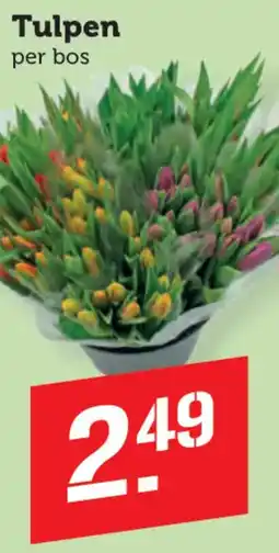 Coop Tulpen aanbieding