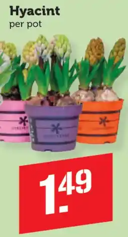 Coop Hyacint aanbieding