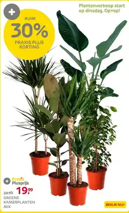 Praxis Groene kamerplanten mix ⌀24cm ↕120cm aanbieding