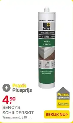 Praxis Sencys schilderskit transparant 310ml aanbieding