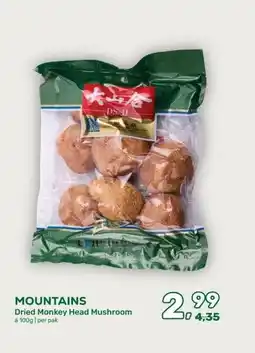 Amazing Oriëntal MOUNTAINS aanbieding