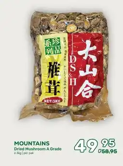 Amazing Oriëntal MOUNTAINS aanbieding