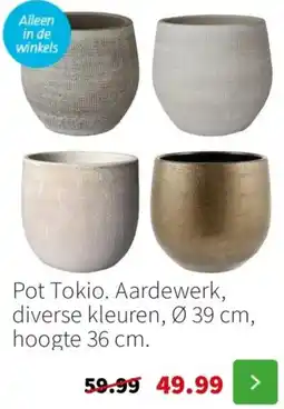 Intratuin Pot Tokio. Aardewerk aanbieding