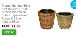 Intratuin Drypot. Bananenblad met kunststof, bruin, diverse soorten en maten aanbieding