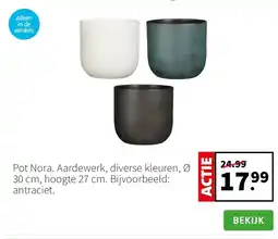 Intratuin Pot Nora. Aardewerk, diverse kleuren, Ø 30 cm, hoogte 27 cm. Bijvoorbeeld: antraciet. aanbieding
