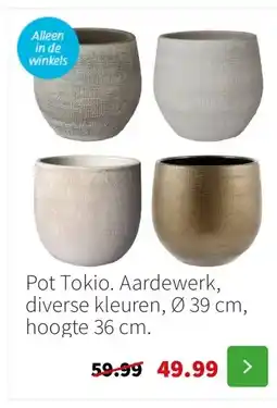 Intratuin Pot Tokio. Aardewerk, diverse kleuren, Ø 39 cm, hoogte 36 cm. aanbieding