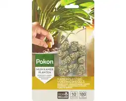 Hornbach POKON Kamerplanten voedingskegels 10 st aanbieding