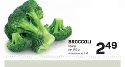 Ekoplaza BROCCOLI aanbieding