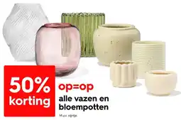 HEMA alle vazen en bloempotten aanbieding