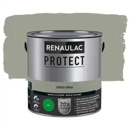 Praxis Renaulac Protect Muurverf - Mat - Dried Grass - 2,5L aanbieding