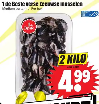 Dirk 1 de Beste verse zeeuwse mosselen aanbieding