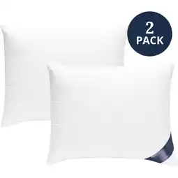 Albert Heijn Ten Cate 2x synthetisch luxe kussen 60 x 70cm aanbieding