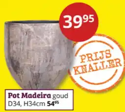 Tuinland Pot Madeira aanbieding