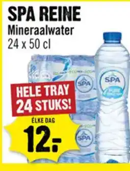 Dirck 3 Spa Reine aanbieding