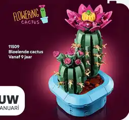 LEGO 11509 Bloeiende cactus aanbieding