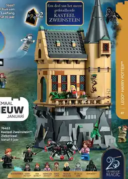 LEGO Kasteel Zweinstein: Ziekenzaal aanbieding