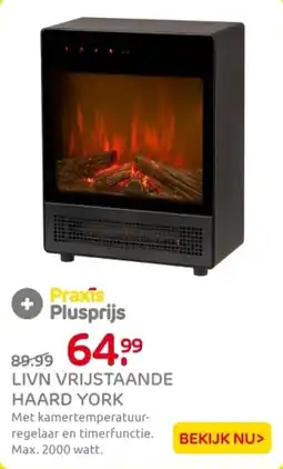 Praxis Livn vrijstaande haard york aanbieding