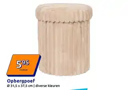 Action Opbergpoef aanbieding