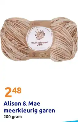 Action Alison & Mae meerkleurig garen aanbieding