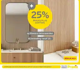 Praxis Op Maestro lattenwanden aanbieding