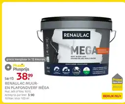 Praxis Renaulac muur en plafondverf méga aanbieding