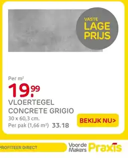 Praxis Vloertegel concrete grigio aanbieding