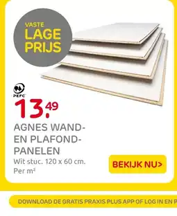 Praxis Agnes wand en plafond panelen aanbieding