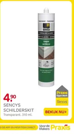 Praxis Sencys Schilderskit aanbieding