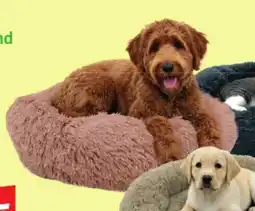 Van Cranenbroek Friendly Pet Huisdiermand aanbieding