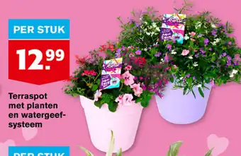 Hoogvliet Terraspot met planten en watergeefsysteem aanbieding