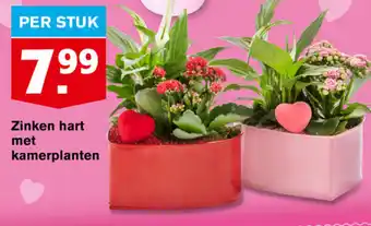 Hoogvliet Zinken hart met kamerplanten aanbieding