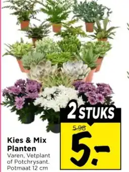 Vomar Voordeelmarkt Kies & Mix Planten aanbieding