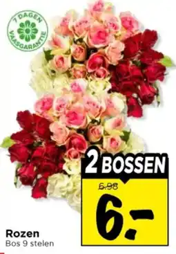 Vomar Voordeelmarkt Rozen aanbieding