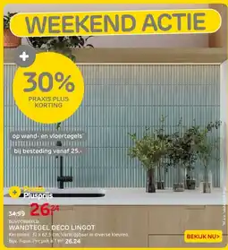 Praxis Wandtegel deco lingot aanbieding