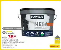 Praxis Renaulac muur en plafondverf méga aanbieding