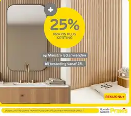 Praxis Op maestro lattenwanden aanbieding
