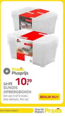 Praxis Sundis opbergboxen aanbieding
