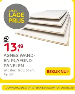 Praxis Agnes wand en plafond panelen aanbieding