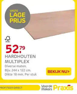 Praxis Hardhouten multiplex aanbieding