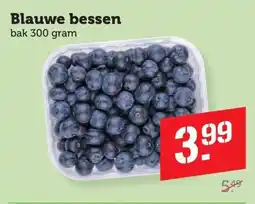 Lekker Makkelijk Blauwe bessen aanbieding
