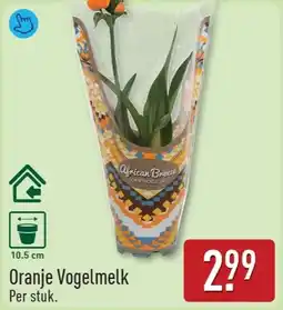 ALDI Oranje Vogelmelk aanbieding