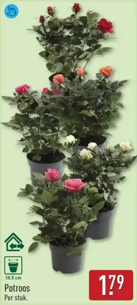 ALDI Potroos aanbieding