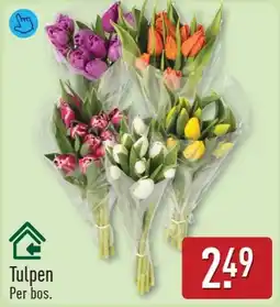 ALDI Tulpen aanbieding