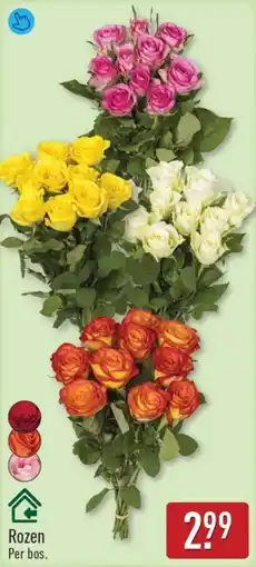 ALDI Rozen aanbieding