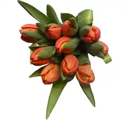 Albert Heijn AH Tulpen oranje aanbieding